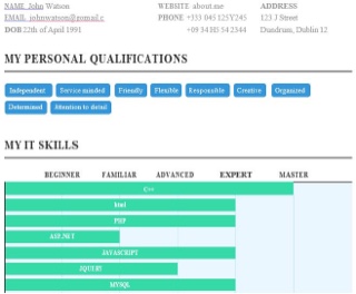 CV Template for IT and PMO