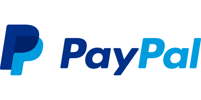 Our clients PayPal logo