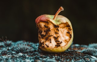 The impact of a bad hire – and how to avoid it