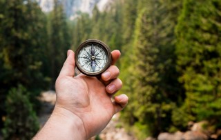 Your career path: From starting out to flying high and everything in between