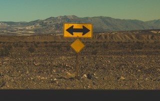 Contractor or permanent employee: Which is the best for my company?