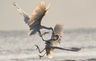 How to manage conflict at work